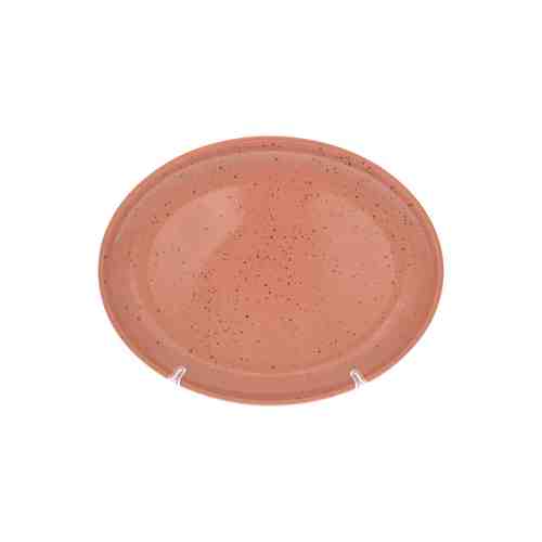 Блюдо овальное Lifestyle Terracotta арт. 80431853