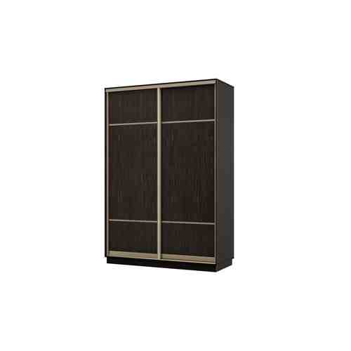 Шкаф-купе 2-дверный Практик 10 арт. 80431504